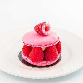 Dessert individuel photographié en studio